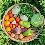 Válvulas para empresas de alimentación